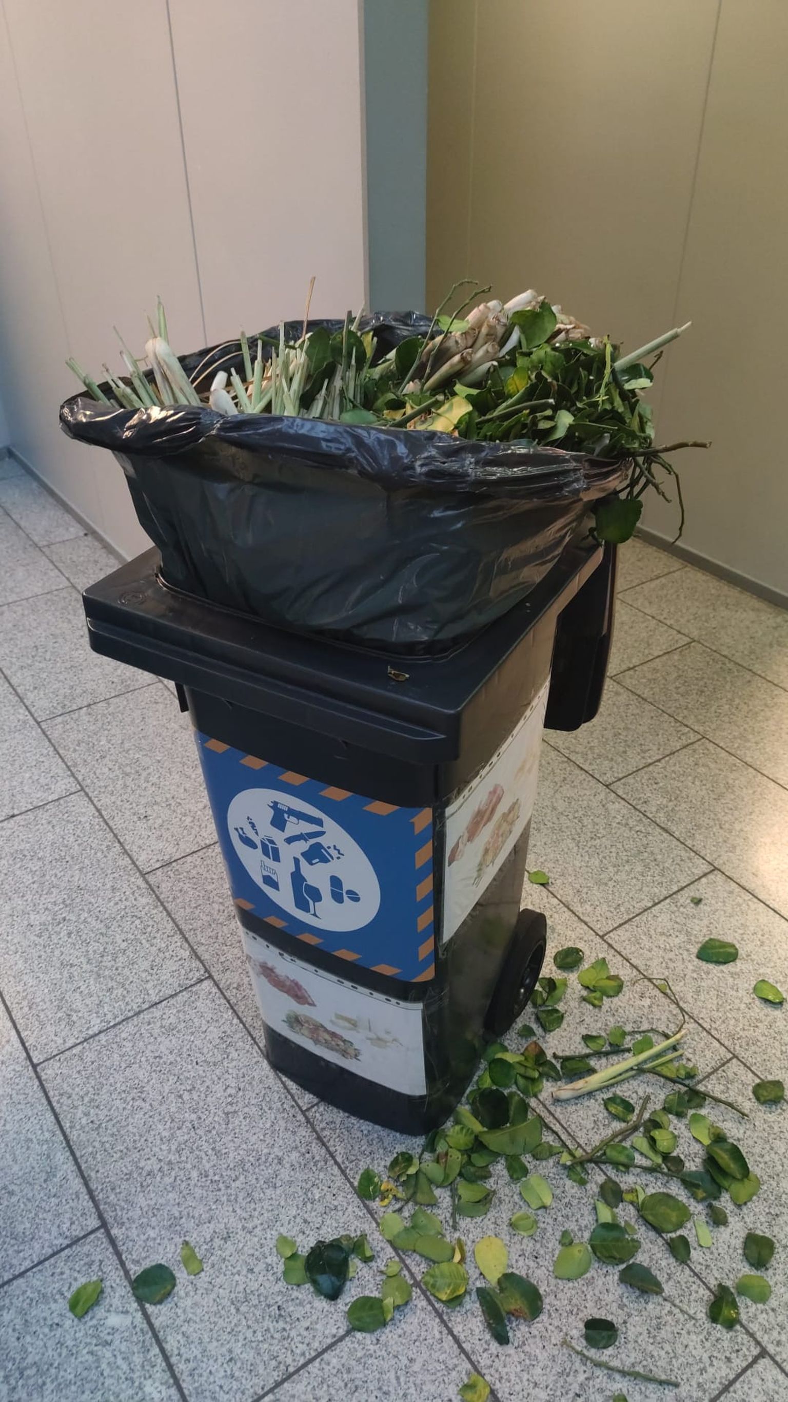 Sidrunhein ja laimilehed lõpetasid reisi kõhu asemel prügikastis.