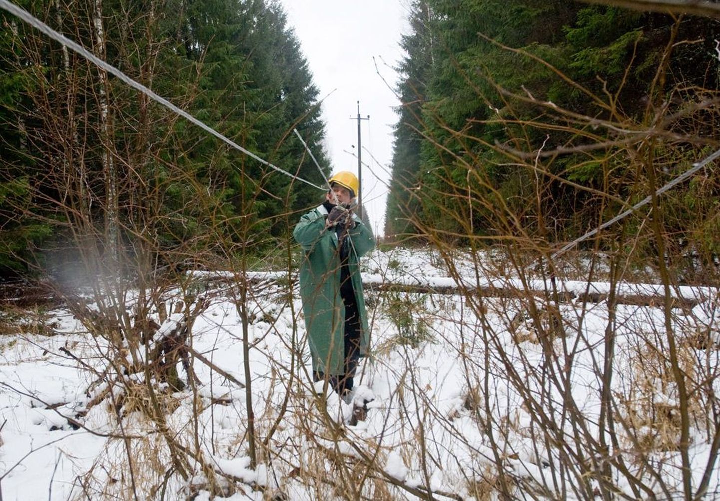 Voose küla lähedal metsas oli veel eile maas umbes 500 meetrit elektriliine. Elektrik Jevgeni Sevtšuk parandab liine.