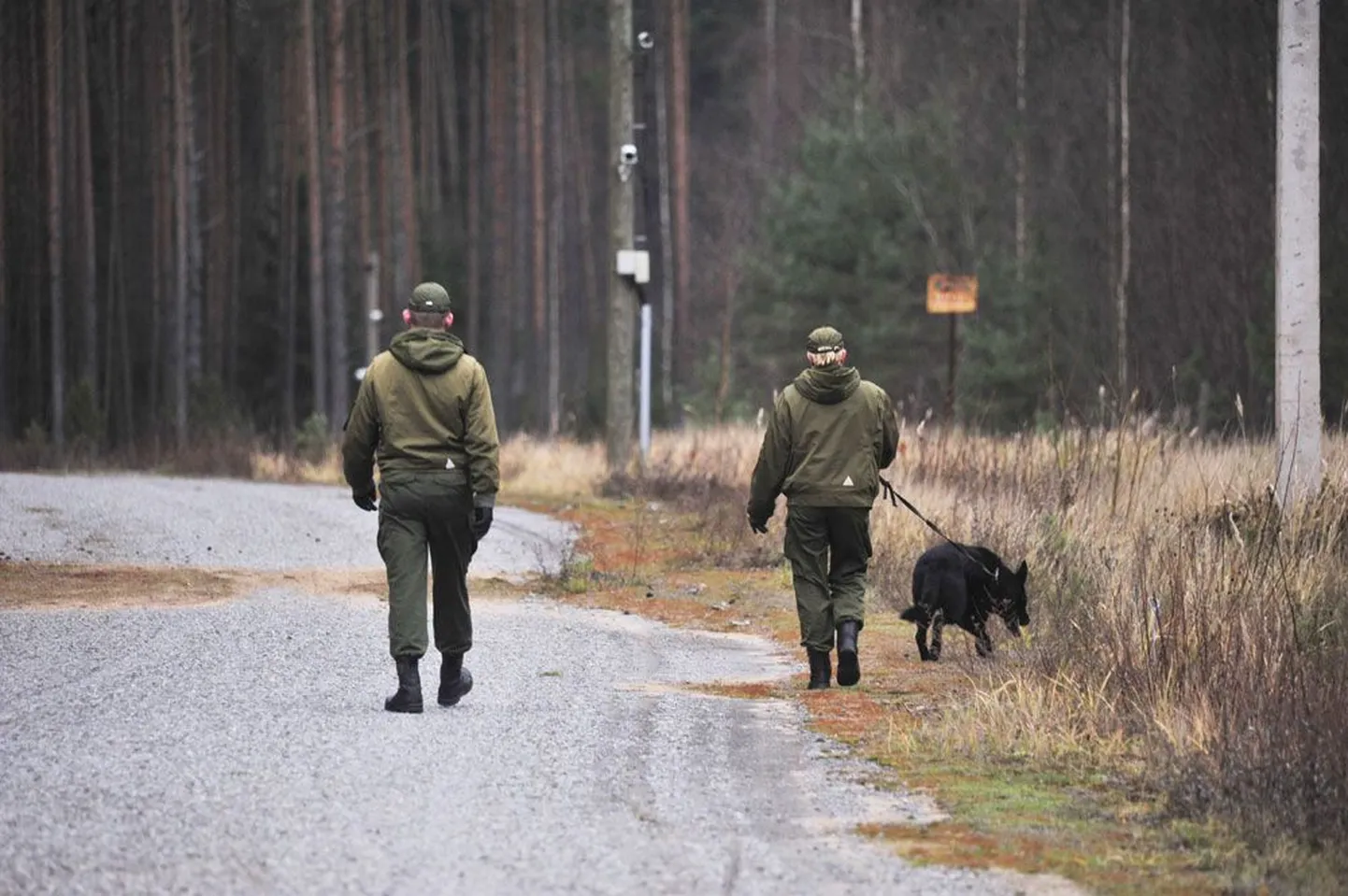 Пограничники кордона Пиуза в Выруском уезде прошлой осенью по время патрулирования.