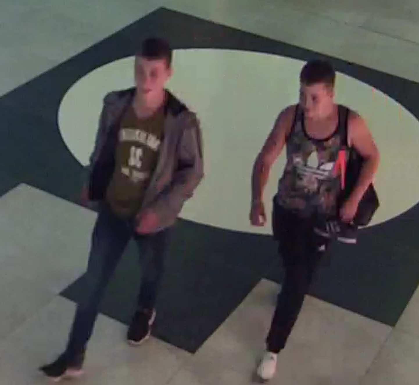 Полиция просит помощи в установлении личностей двух молодых людей, запечатленных на фотографии.