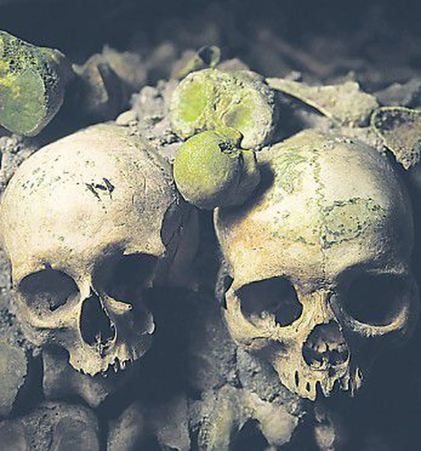 Порошок из человеческих черепов пару столетий назад можно было запросто приобрести в аптеках.