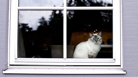  ��������������� ������ ��������� ��������� ��������� ���� ���� 