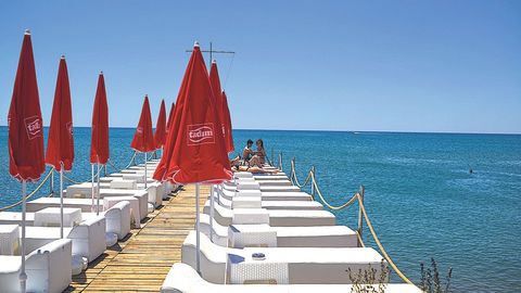 Фото: rus.postimees.ee