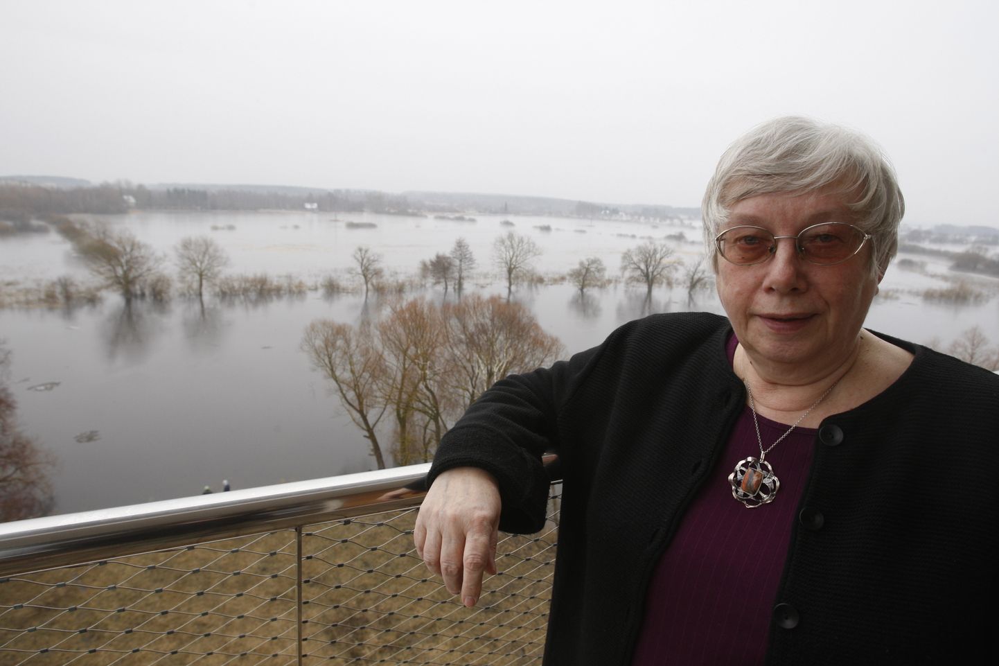 Kevadine suurvesi ja tänane juubilar sotsiaalteadlane Marju Lauristin oma kodurõdul.