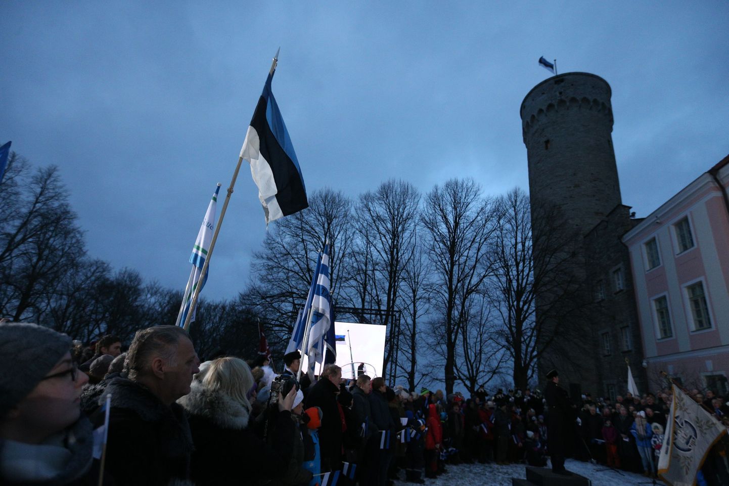 Lipuheiskamine Tallinnas Toompeal.