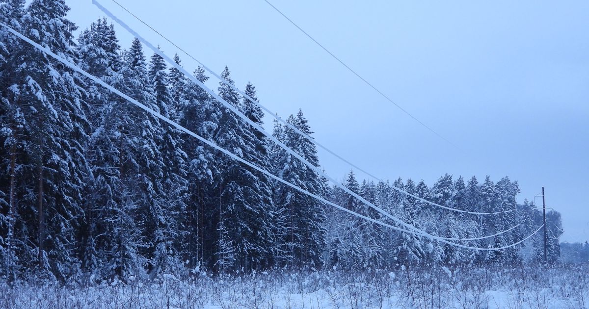 Elektrivõrk peab vastu