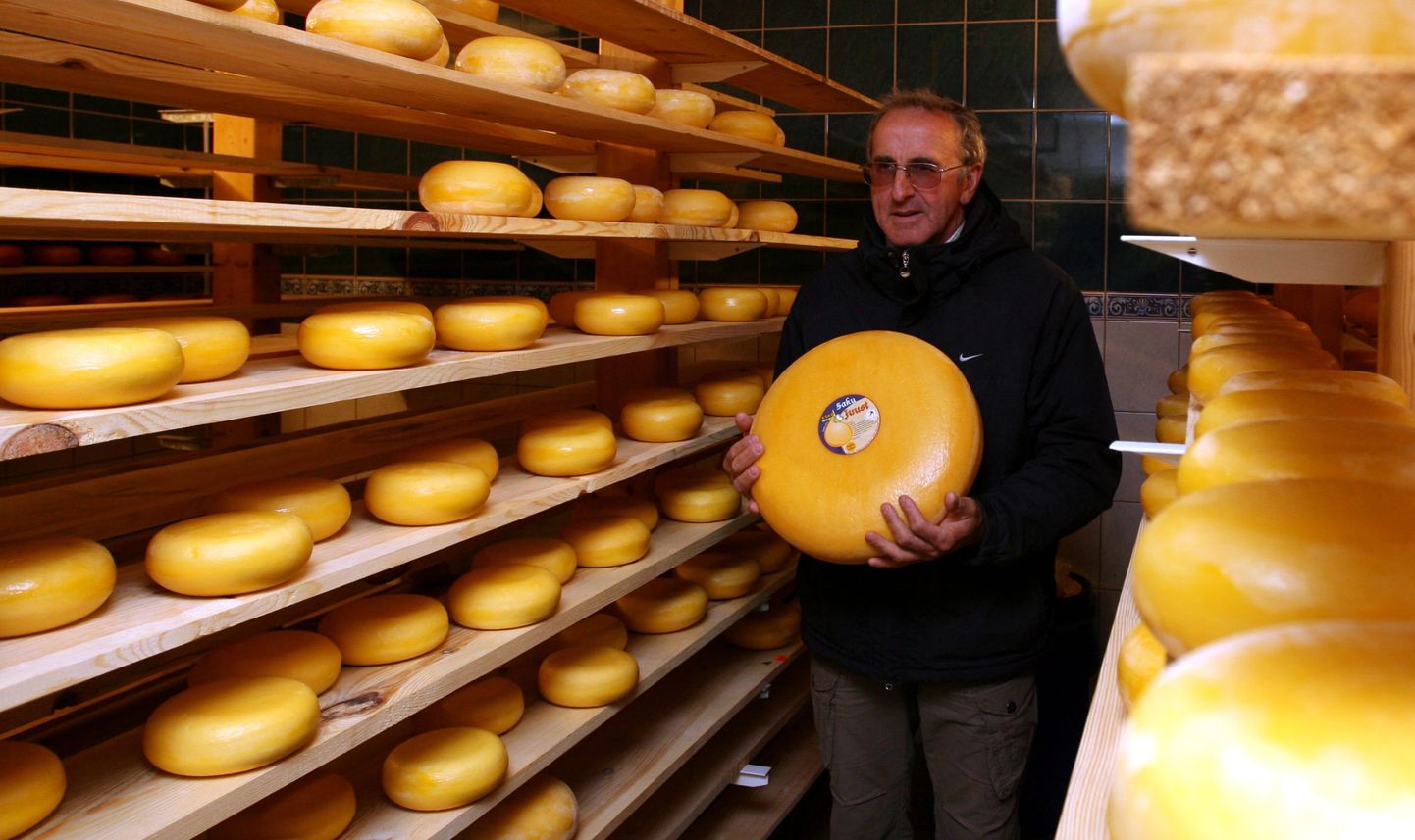 Esko talu peremees Vello Eensalu näitab enda toodetud juustu.