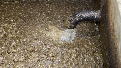 ����: rus.postimees.ee