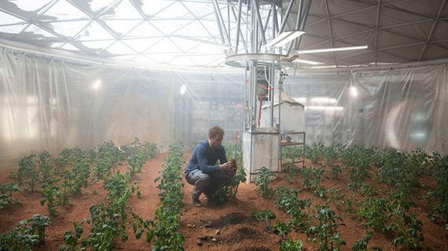 Astronaut Mark Watney kasvatab Marsil kartuleid
