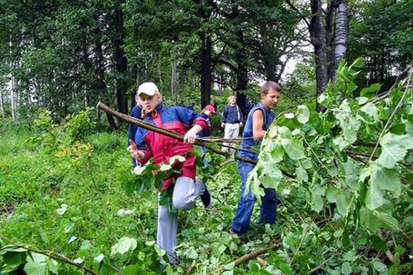 Keskkonnaprogramm võimaldab Viljandi maakonna esimese kuni kuuenda klassi õpilastel loodust paremini tundma õppida.