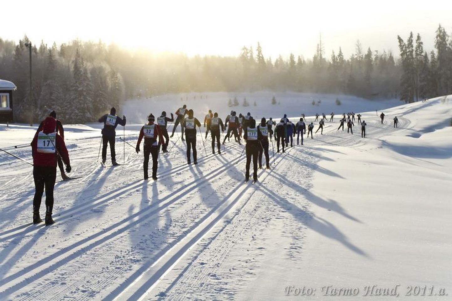 Тартуский марафон.