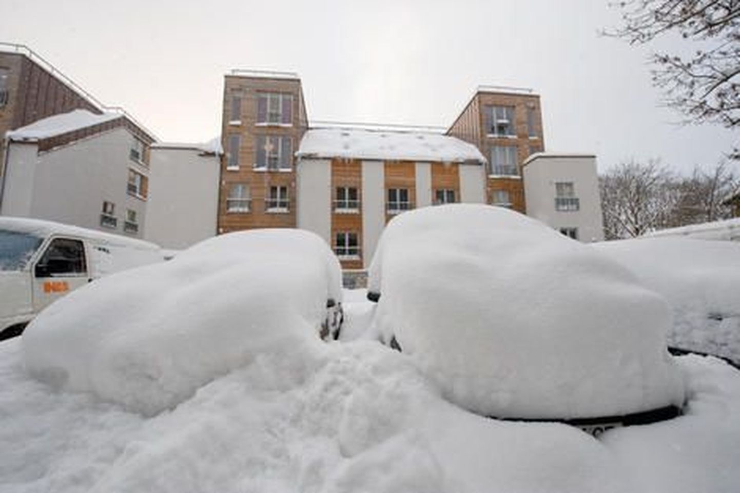Снег в Таллинне.