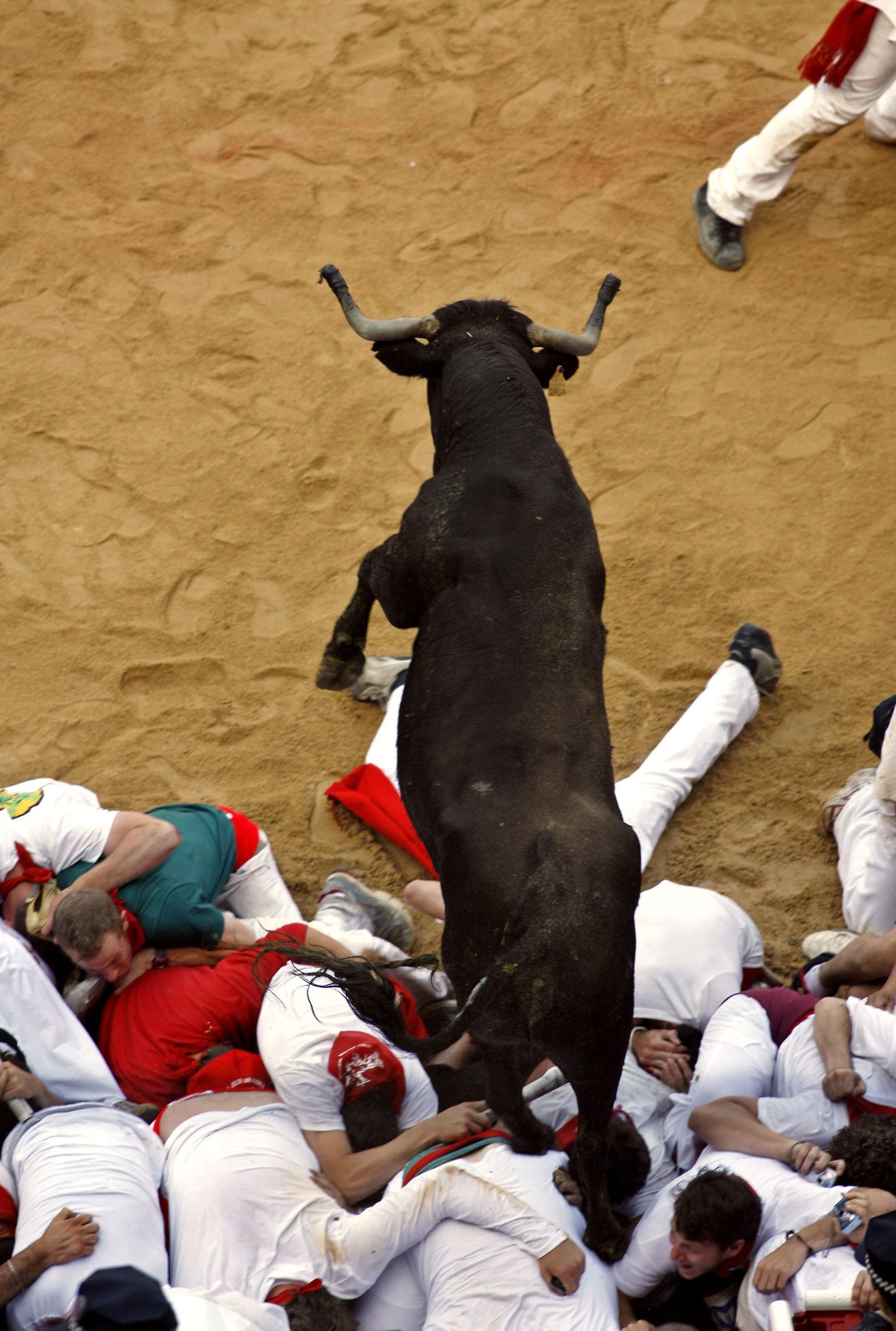 Härg ja jooksjad Pamplona festivalil