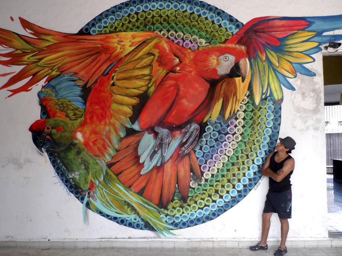 Need on mõned näited Mehhiko tänavakunstniku Farid Rueda töödest. Juuni keskel on teda oodata neljaks päevaks Viljandisse. Millise seina ja kavandi kallale ta siin asub, alles selgub.