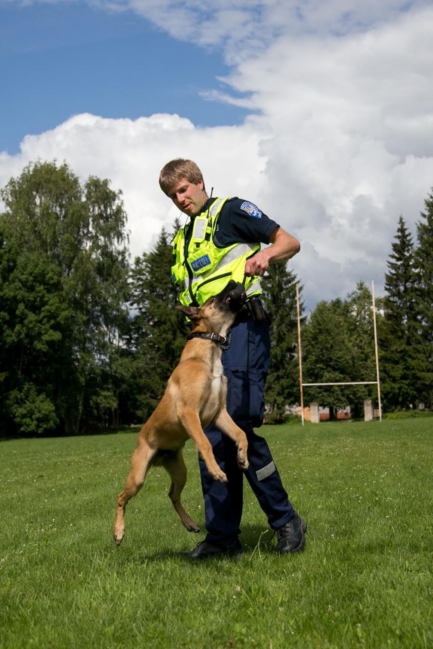 Vanemkoerajuht Taavi Idavain ja tulevane patrullkoer Jäpe veedavad sageli aega koos mängides. Selle nii-öelda mängu käigus õpib koer üha uusi tulevases ametis vajalikke oskusi.