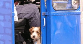 Buenos Airese bussijuht lubas tänavakoertel tormi ajal bussis olla