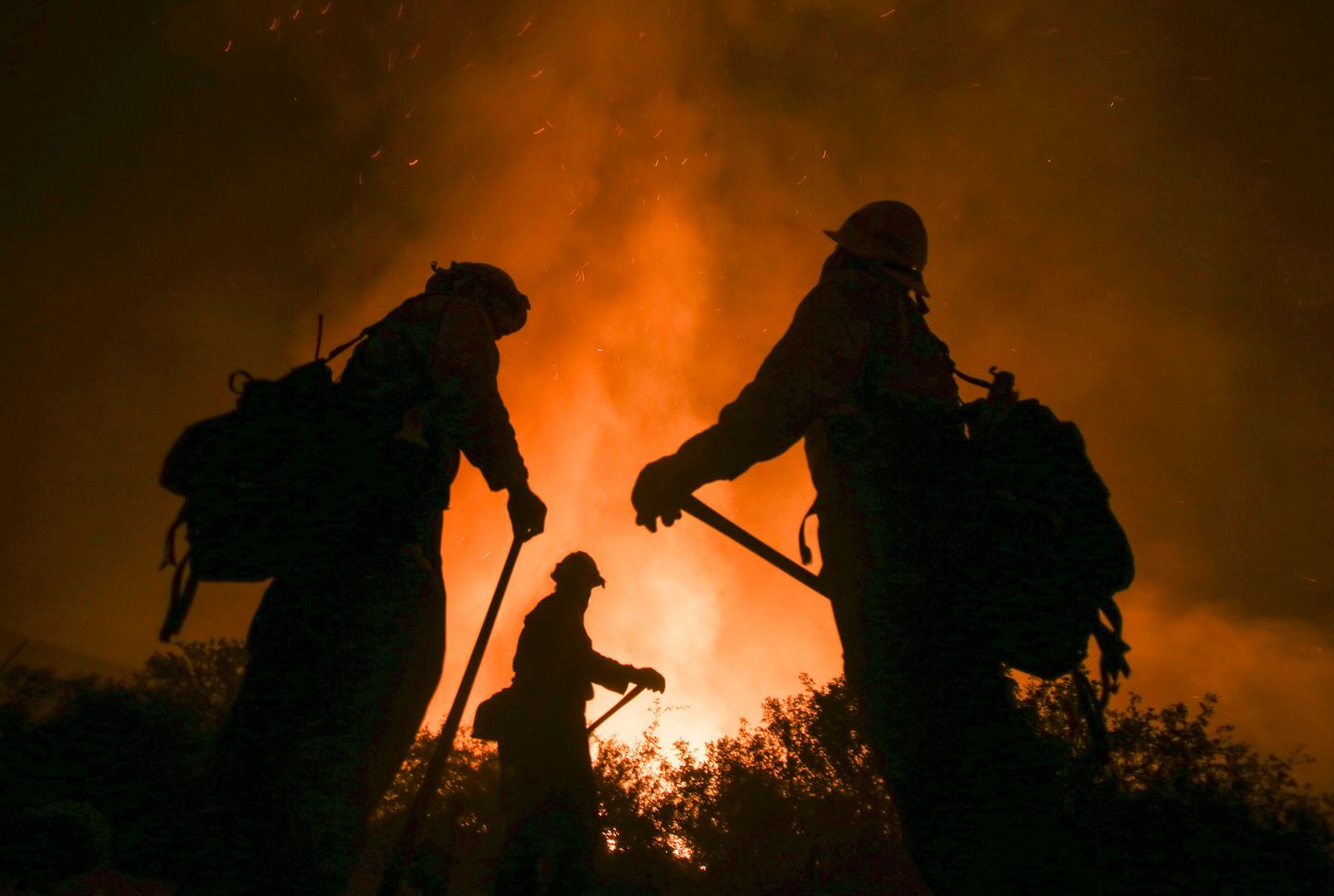Пожарники в Калифорнии.