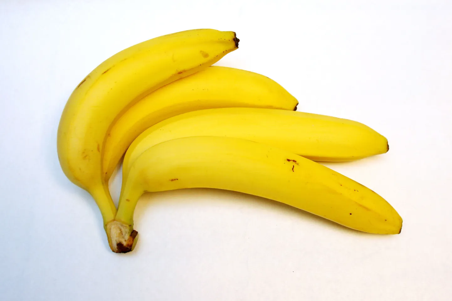Euroopa kliima banaanide kasvatamiseks hästi ei sobi.