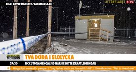 2 Estonians killed working on high voltage power line in Sweden