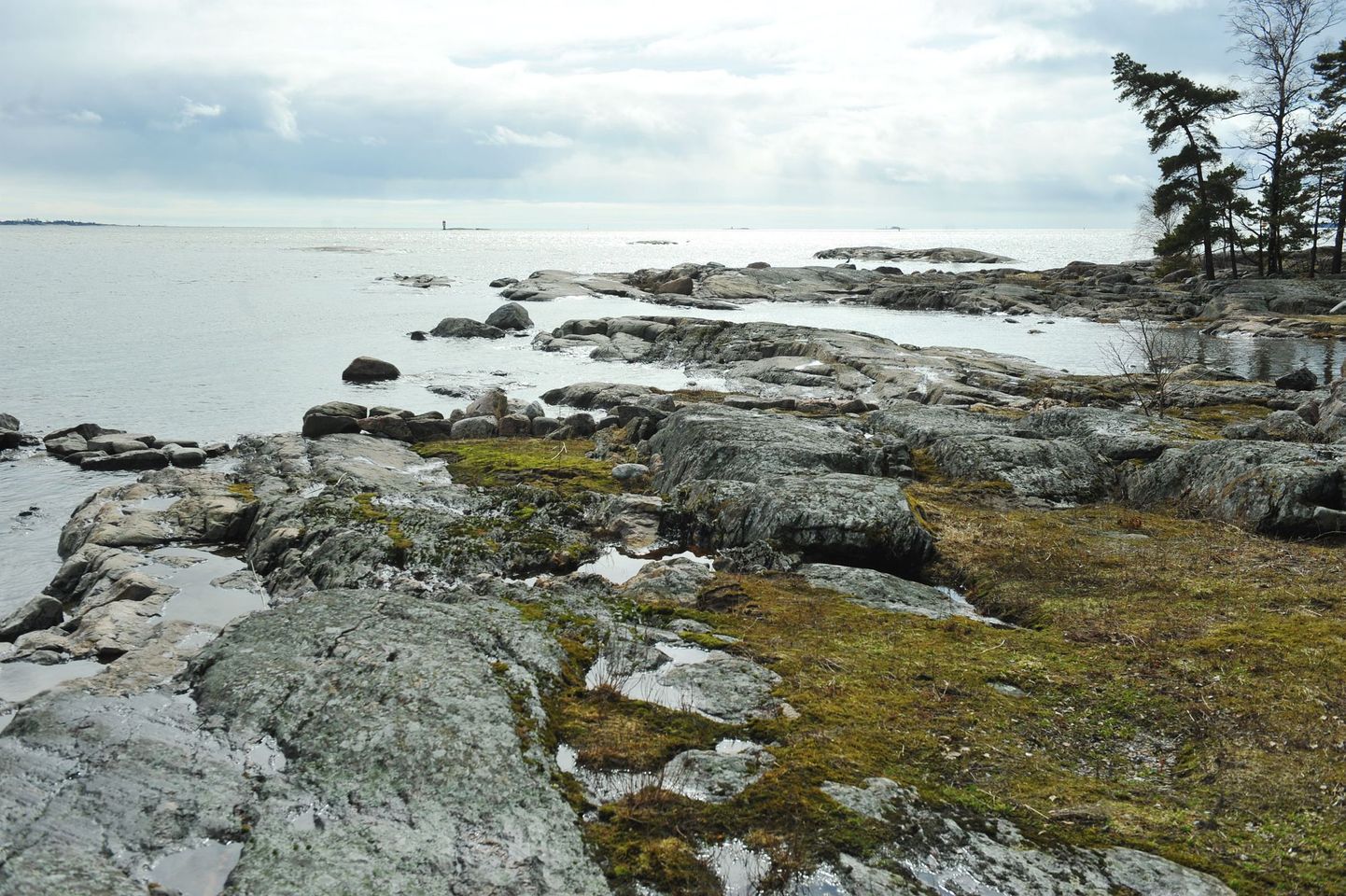 Helsingi lähedal asuval Pihlajasaarel elas Tallinki laevalt merre hüpanud mees kolm nädalat, enne kui endast märku andis.