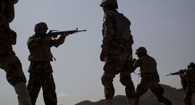 Силы обороны Венгрии этим летом направят в Эстонию свое подразделение численностью до роты