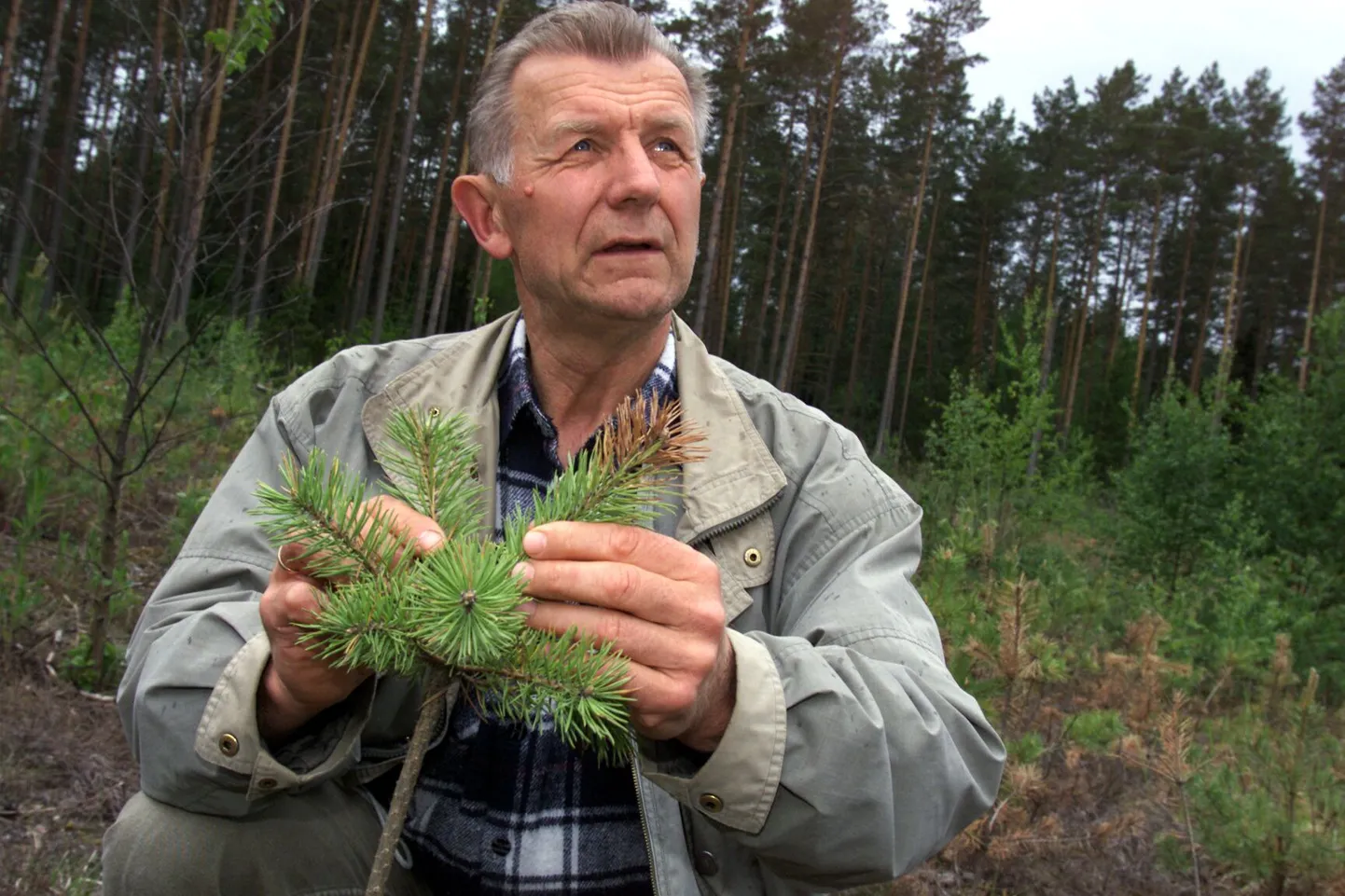 Metsandusteadlane Märt Hanso on propageerinud seente kasvatamist Eestis enam kui kümme aastat.