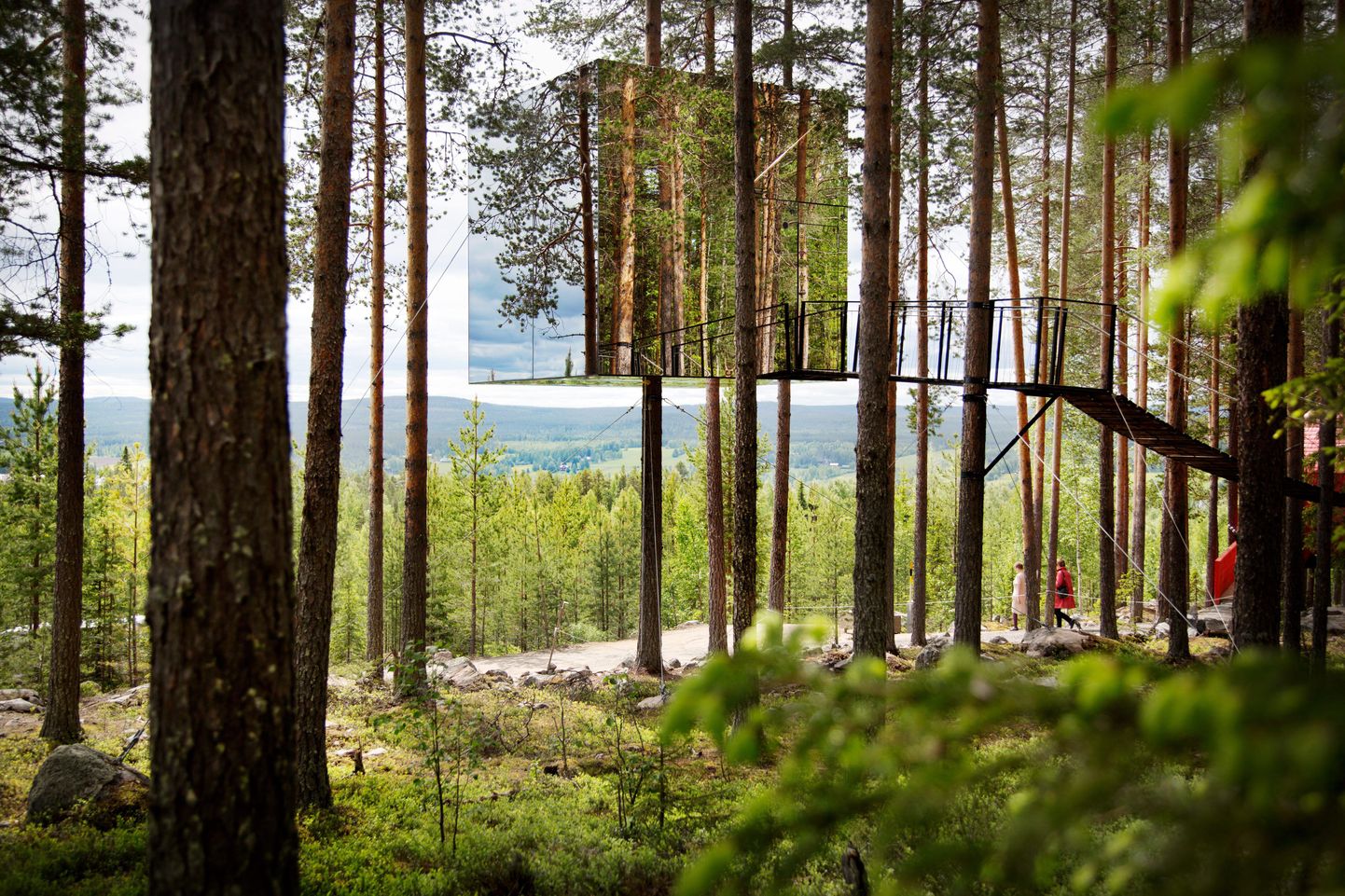 HARADS 20120618
Treehotel. A Hotel where guests stay in rooms, cabins in the trees. "Mirror cube". 
Foto Thomas Karlsson / SCANPIX / Kod 11126