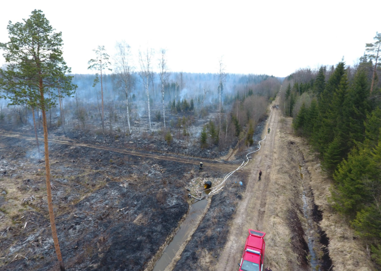14. mai õhtul puhkes põleng Jõgevamaal Torma vallas, kus põles vähemalt kuus hektarit metsa.