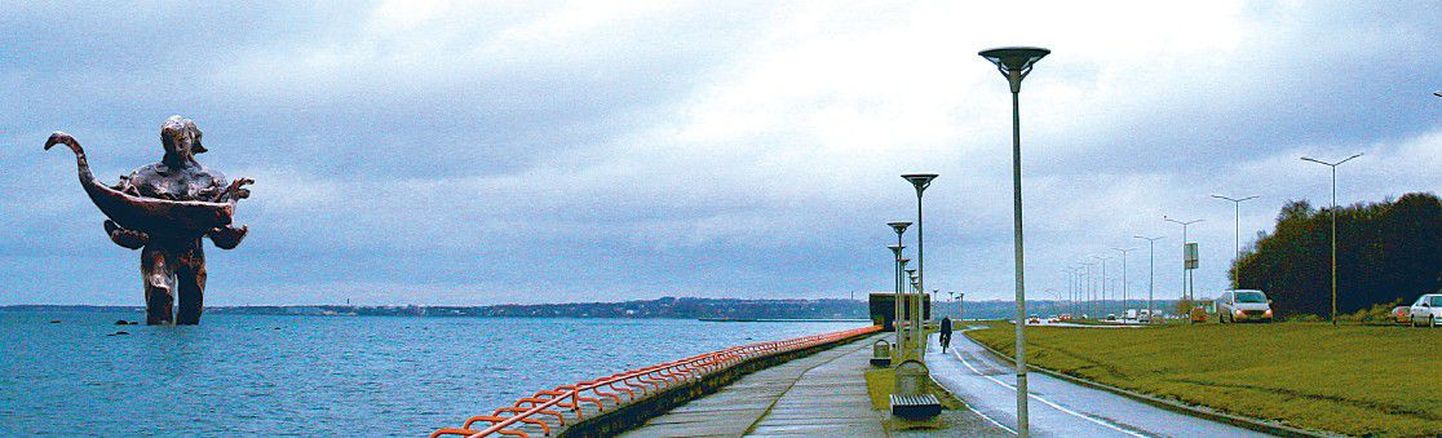 Hiigelsuur Kalevipoeg peaks oma koha leidma Tallinna lahes Maarjamäe memoriaalist umbes 250 meetrit kesklinna poole.