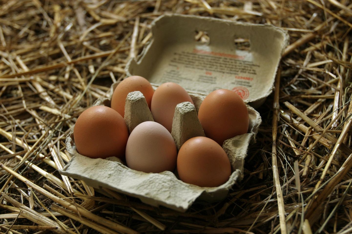 Kuigi hinna järgi võiks arvata, et pruunid kanamunad on tervislikumad kui valged, siis tegelikult on põhjus teine.