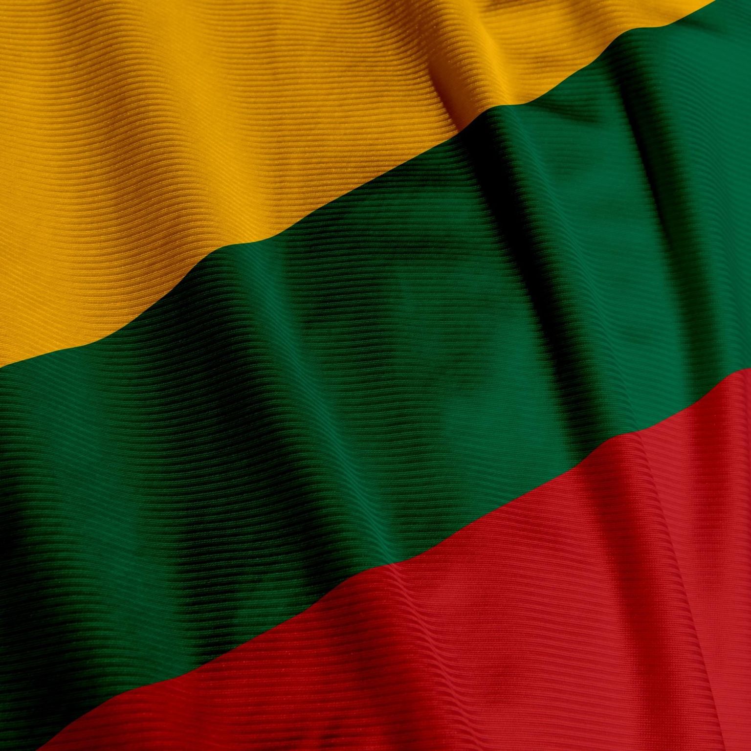 Leedu lipp
