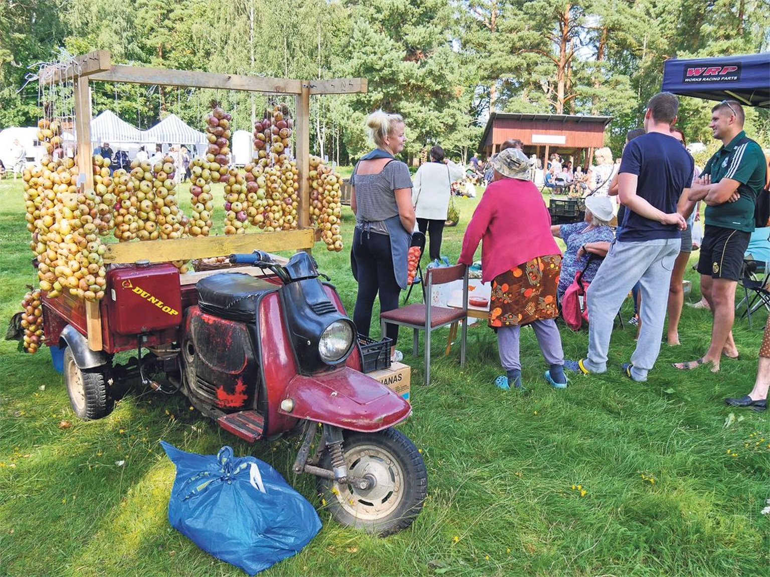 Mis sügislaat see Piirissaarel oleks,
kui sibulaid ei pakuta?