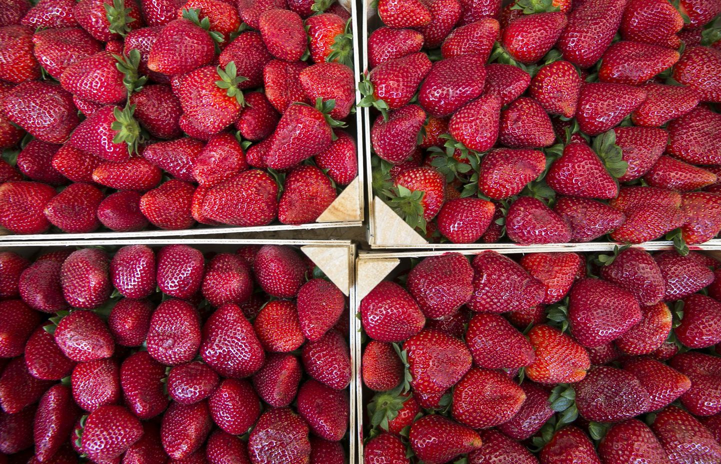 Maasikad Nõmme turul kevadel 2014.