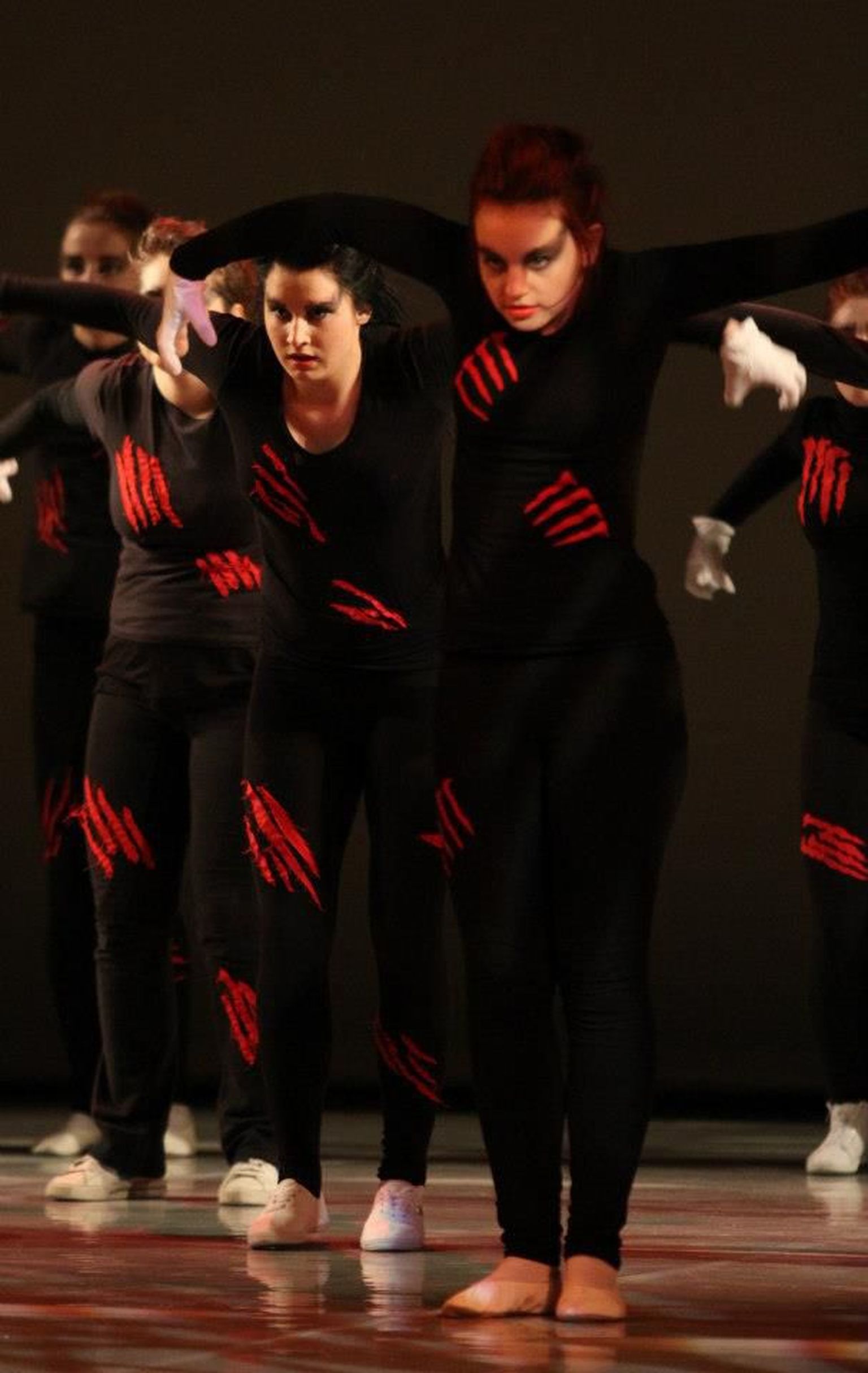 Koolitants 2013.