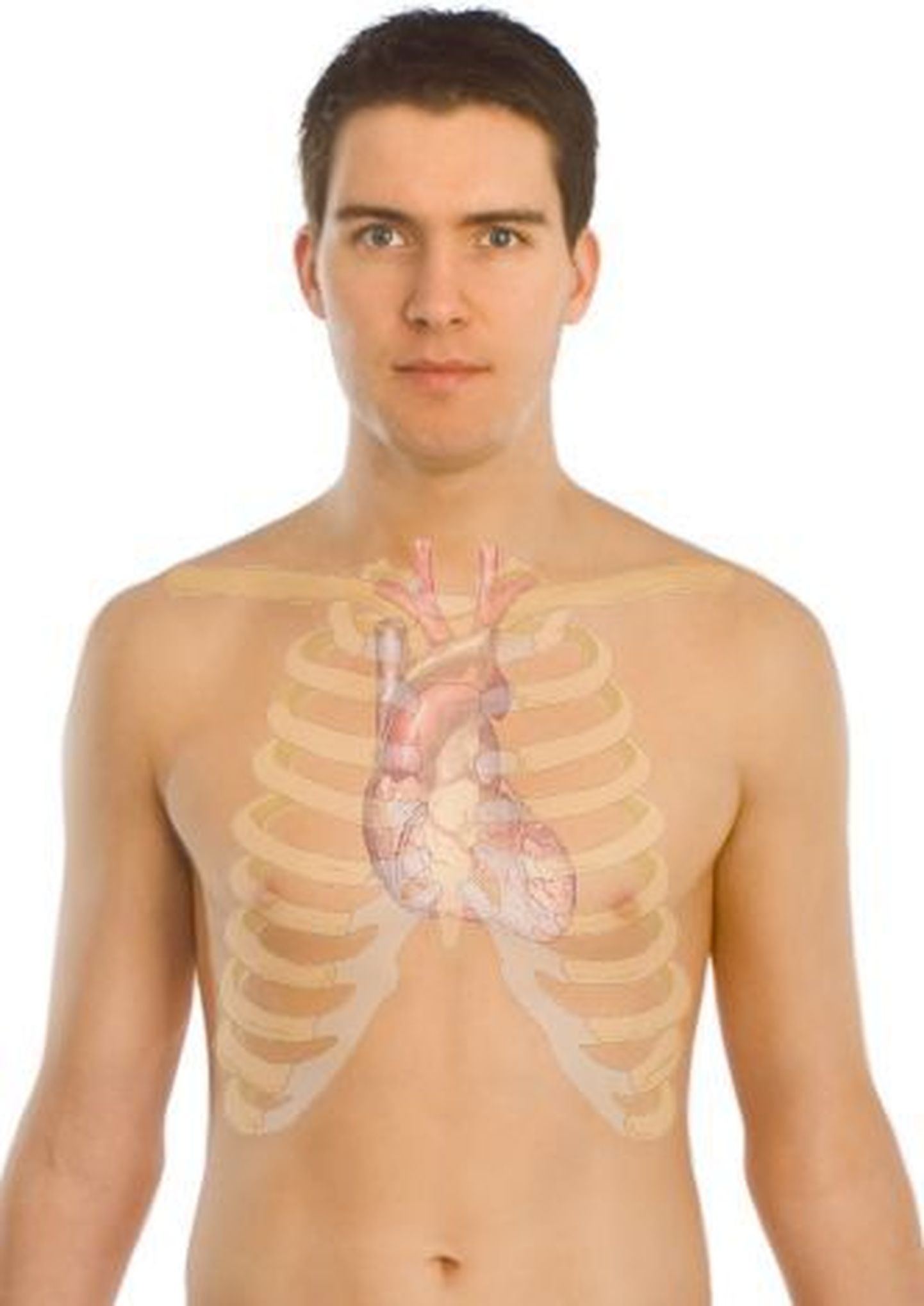 Kõrgtehnoloogiline plaaster kinnitub patsiendi rinnale ning mõõdab südamelööke, vererõhku ja teisi südame indikaatoreid.