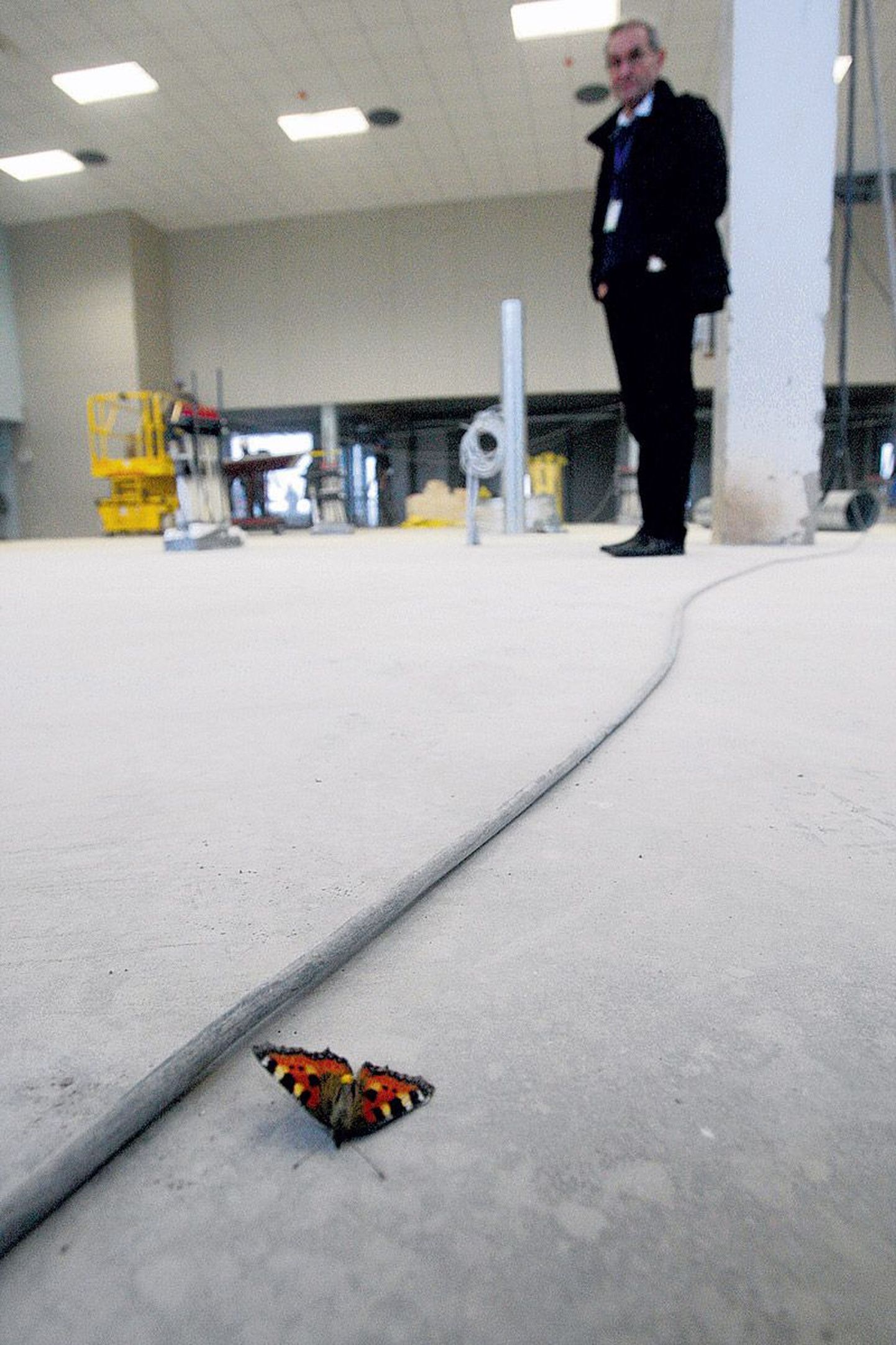 Tolmuses ja töömeestest kihavas lennujaama hoones leidis eile üks liblikas vaikse nurga, kus tiibu puhata.
