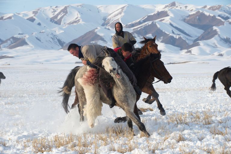 Uiguuri karjakasvatajad