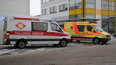 Фото: rus.postimees.ee