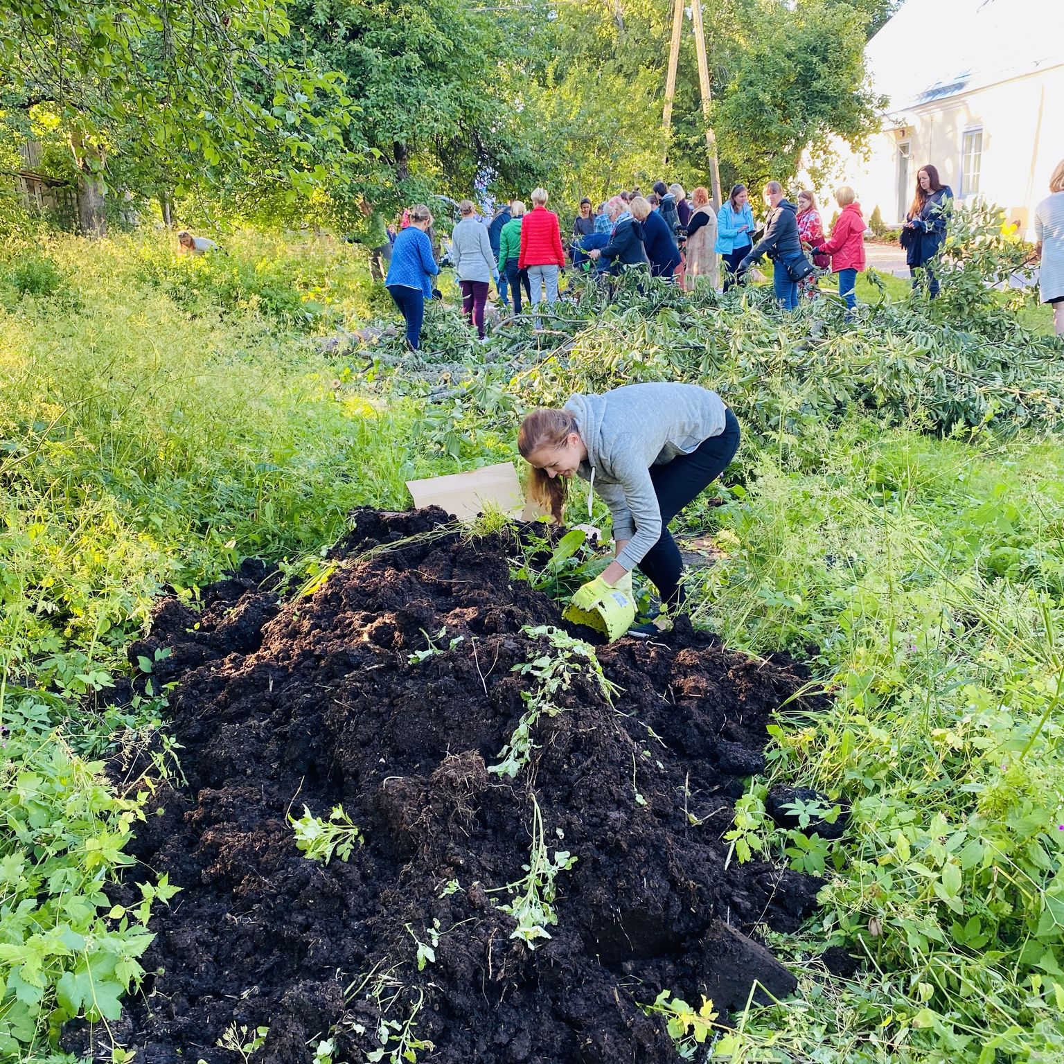Padise kloostri valitsejamaja tarbeaeda rajatakse permakultuuri süsteeme kogukondlikult. 2020. aastal rajati permakultuuri alussüsteemiks peetav toidusalu.