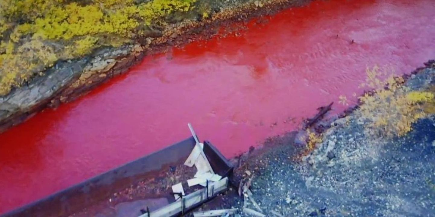 В Норильске река окрасилась в кроваво-красный цвет.