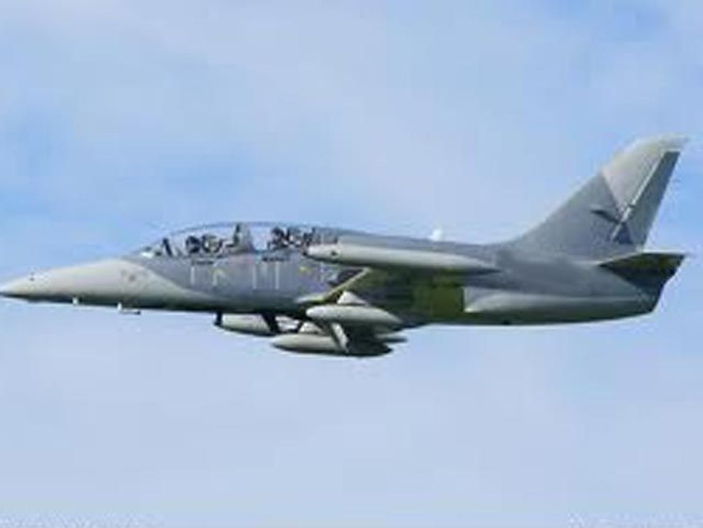 Учебно-тренировочный самолет L-39 Albatross разбился в американском штате Айова на глазах у тысяч посетителей авиашоу, пилот погиб