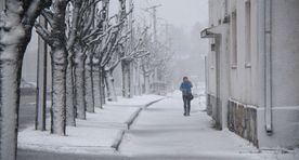 Галерея: в Раквере бушует снежный шторм