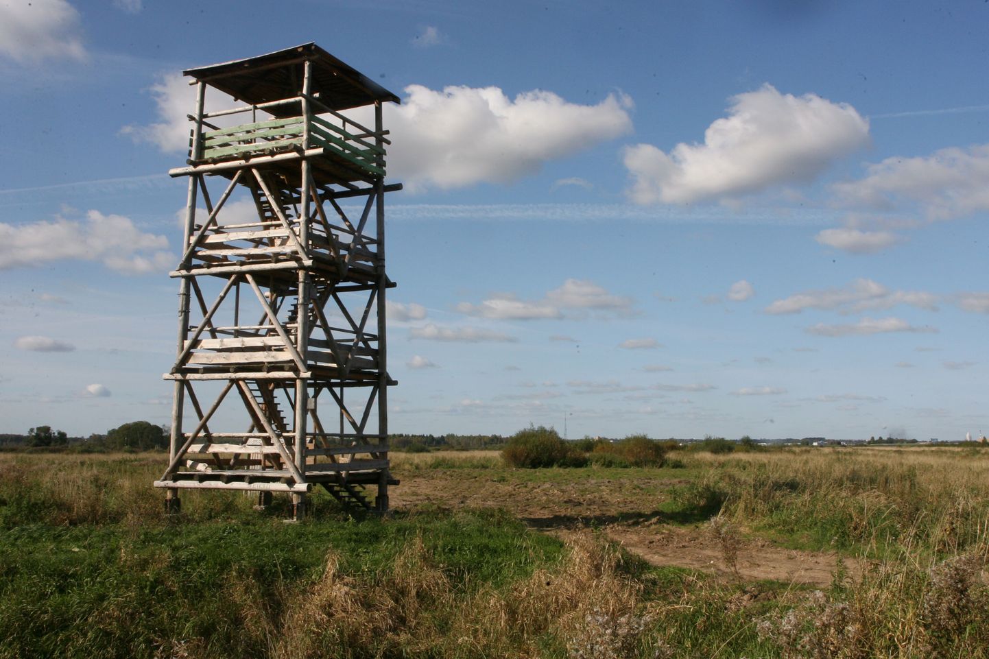 Tartumaal Haaslava vallas Aardlapalus asuv linnuvaatlustorn.