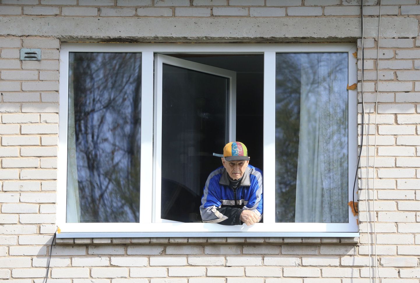 Житель Эльва Антс-Альберт Кангур у окна своей квартиры.