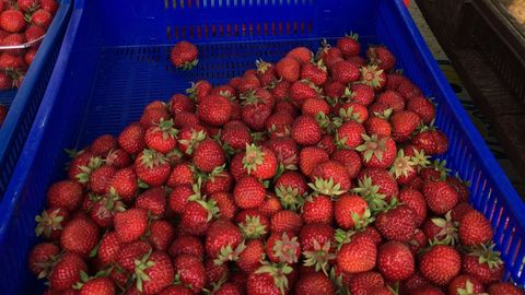 ����: rus.postimees.ee