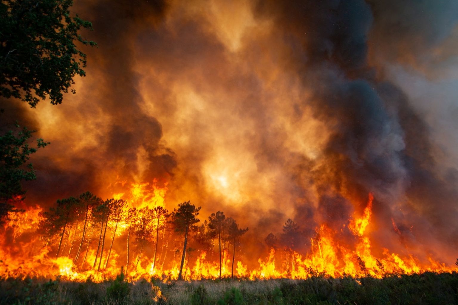 Põlev mets Lõuna-Prantsusmaal.