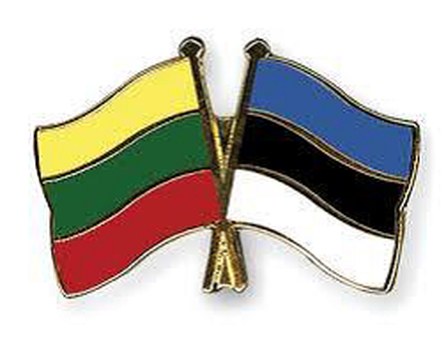 Leedu ja Eesti lipud.