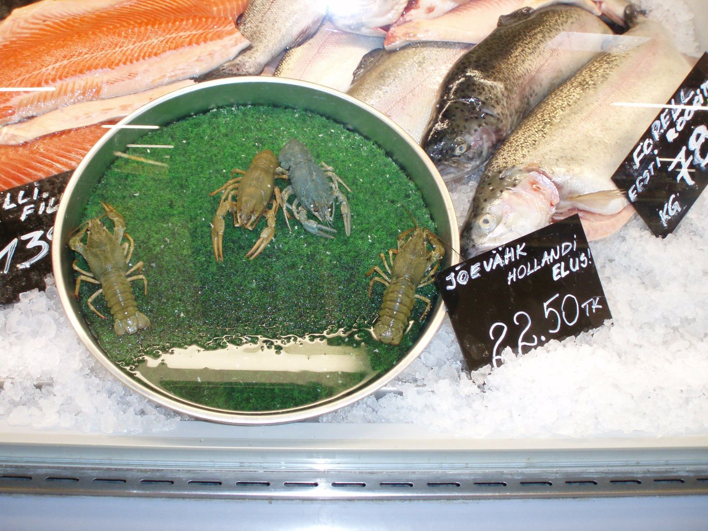 Kauplust kontrollides leidsid inspektorid kalaletist neli kitsasõralist vähki.