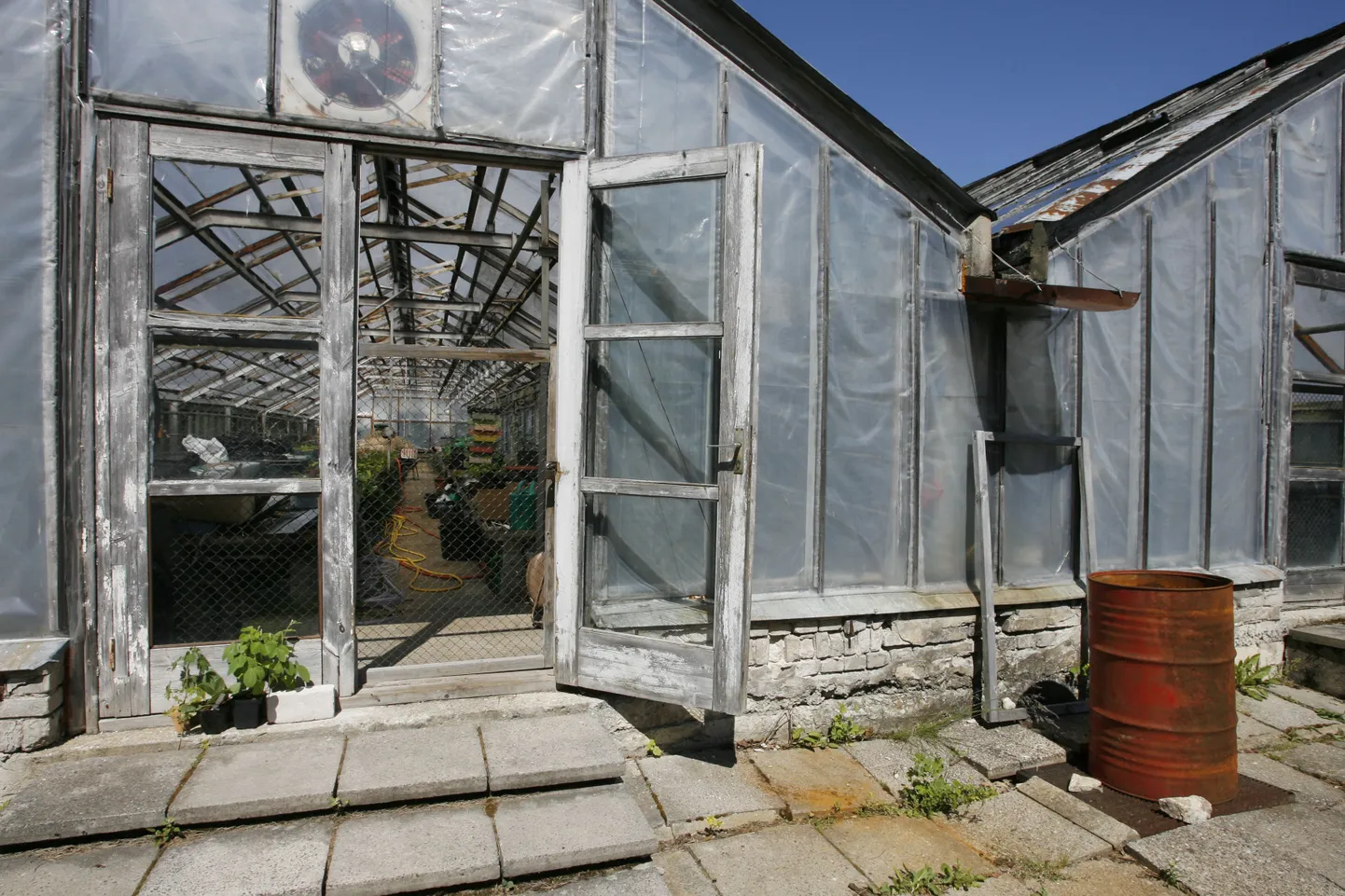 Botaanikaaia vanad kasvuhooned, mida ootab ees ümberehitus.