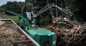 Big burning of wood to birth brief forestry boom